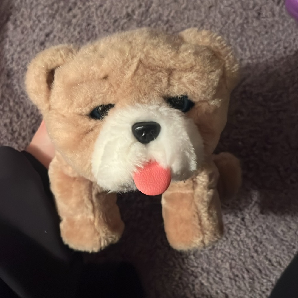 Little Live Pets Rollie My Kissing Puppy Interactive Toy